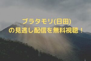 たったひとつの恋 動画配信を全話無料で公式サイトで視聴する方法 シナノマチ情報局